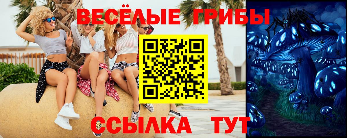 Галлюциногенные грибы Magic Shrooms Дедовск